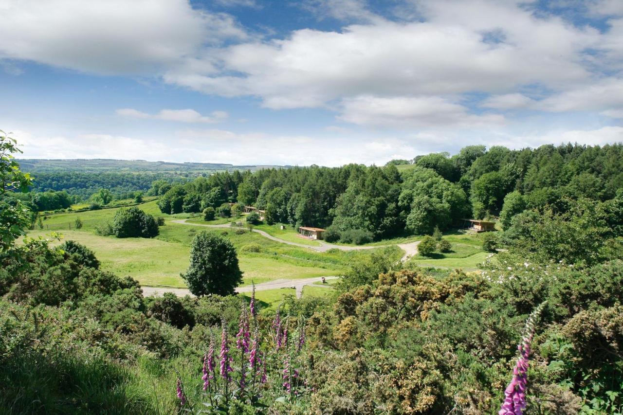 Yorkshire Dales Lodge 4 Family 3 Bed Richmond  Exteriör bild