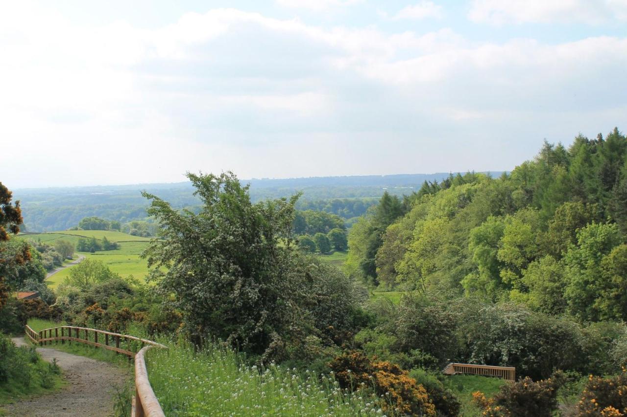 Yorkshire Dales Lodge 4 Family 3 Bed Richmond  Exteriör bild